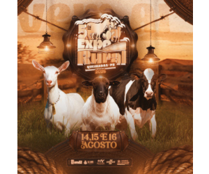QUEIMADAS 3