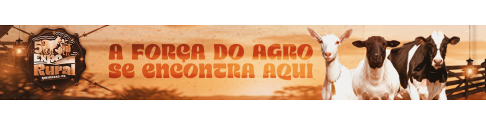 QUEIMADAS 1